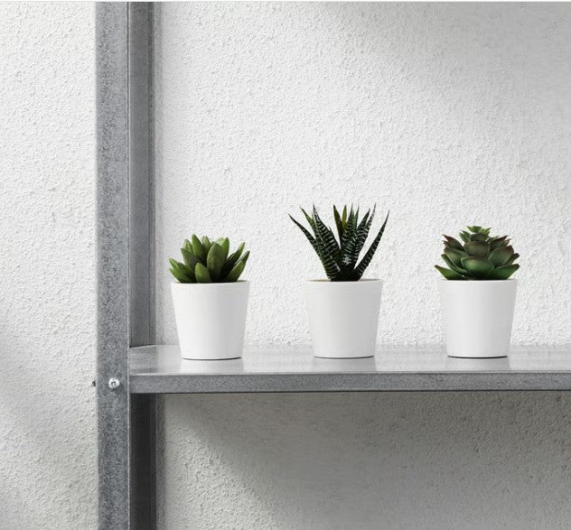 30-piece "Desk Mode: Activated" Study box